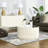 Glass Top Coffee Table