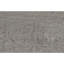 Area Rug in Gray