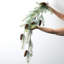Ornement en pin 48 po Wispy