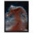 Hubble Telescope Horsehead Nebula In Orion Constellation - Single Picture Frame Print
