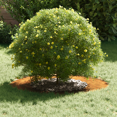 Tree Ring Decorative Garden Modern Protector Outdoor Ornament Base Home