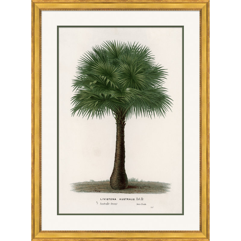 Cadre photo «Palms 3»