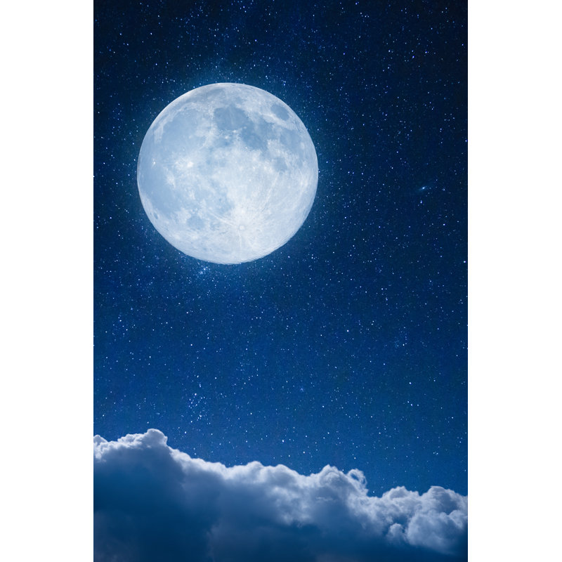 Full Moon View - Wrapped Canvas Print, 91cm H x 61cm W x 3.8cm D