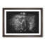 The Majestic Elephant - Picture Frame Graphic Art Print-56875899-56875900
