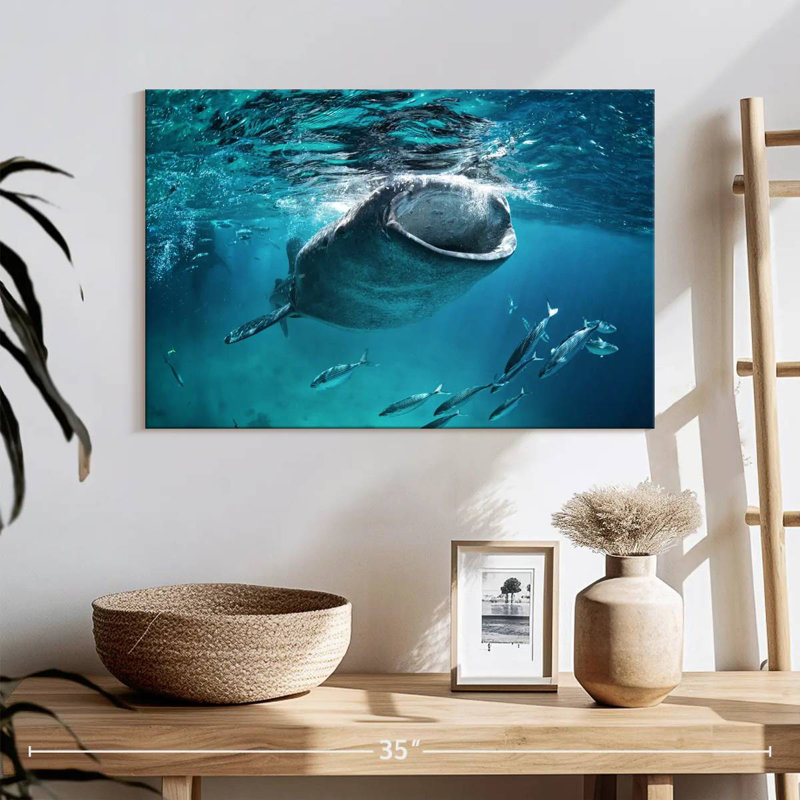 Brampt Gaping Whale Shark, 16" H x 24" W