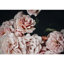 Floral Vinyl