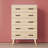 Classic 5 Drawer Chest-2032589021