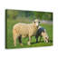 No Frame Print on Canvas-615400062