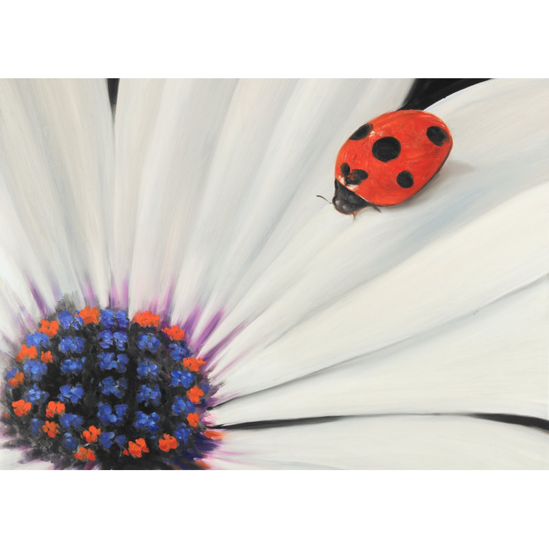 Marguerite blanche et coccinelle - décor de toile encadrée d'insecte de chambre à coucher
