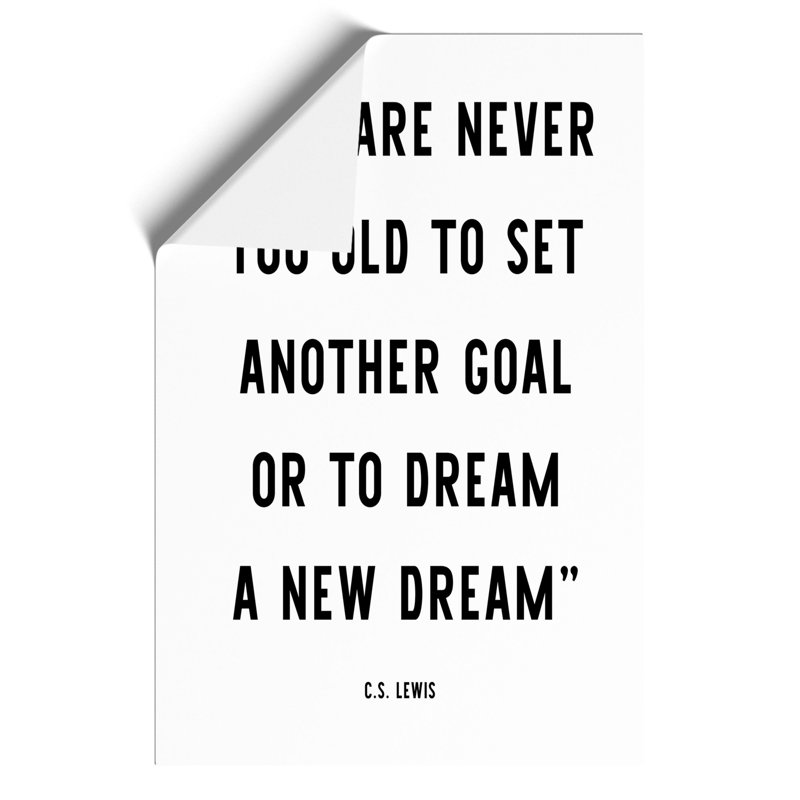 Dream a New Dream - Frameless Print, 42cm H x 30cm W x 0.1cm D