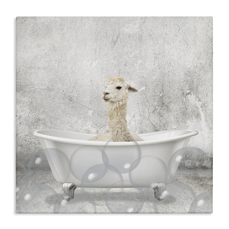 «Baby Llama Bath Time», reproduction d'impression, H 30 po x l 30 po