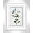 Colombe Shabby Elegance Botanical II - Framed Art-72514479-72514472