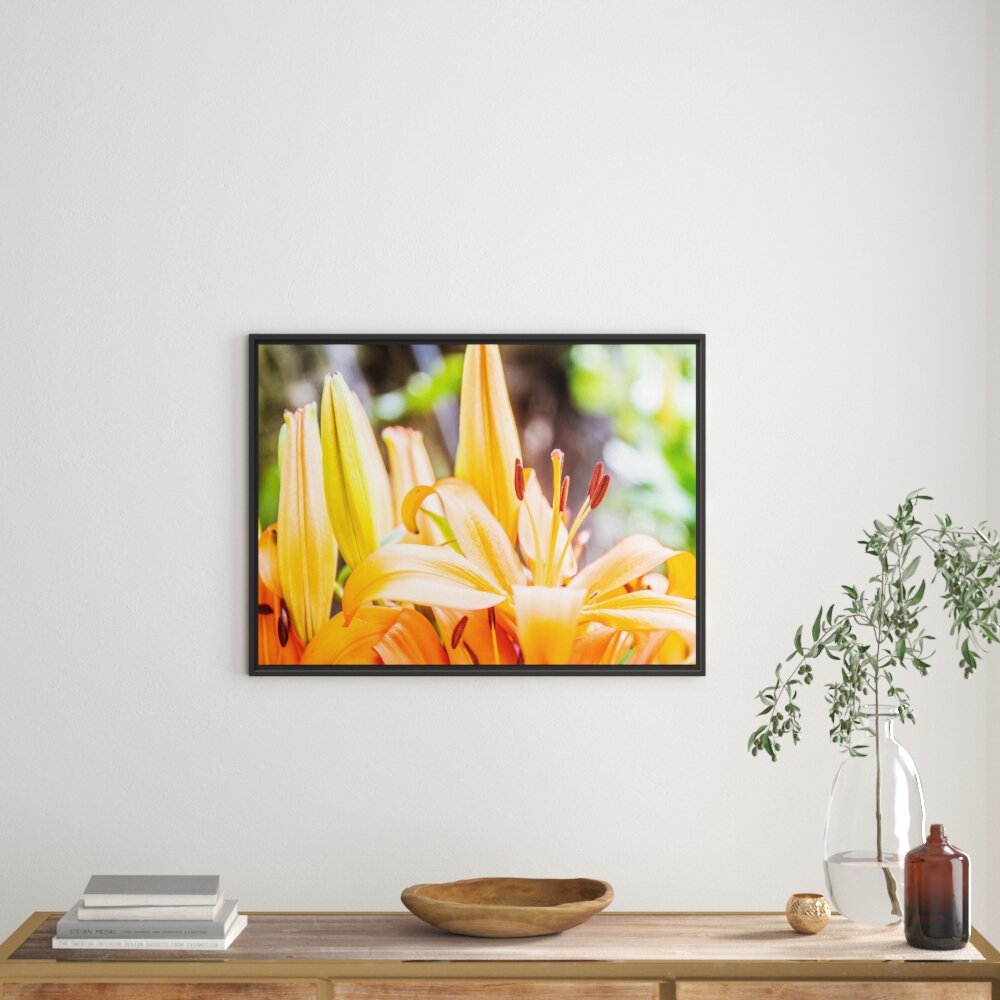 Gerahmtes Poster Orange Lilien