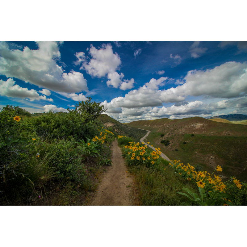 Yellow Wildflowers - Wrapped Canvas Print, 30cm H x 46cm W