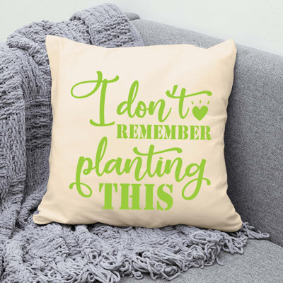  Throw Pillow