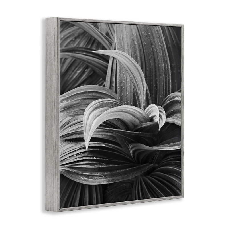 «Wet Leaves» par Chip Forelli bg-128, Estampe numérique Farmhouse, H 20 po x l 16 po