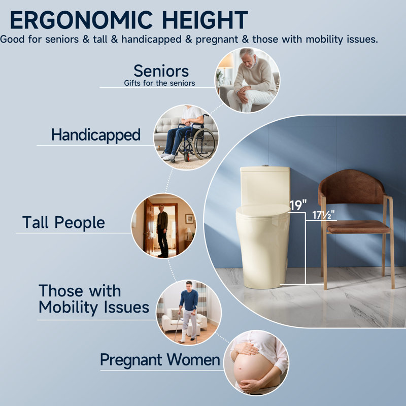 19" Elongated Bowl ADA Height Toilet One Piece Skirted Toilet for Seniors, Dual Flush 1.0/1.28 GPF, MAP 1000g, Bone