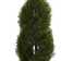 4.5ft. Double Pond Cypress Spiral Artificial Tree in Planter UV Resistant (Indoor/Outdoor)