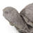 Durable Outdoor Turtle Statue Decor No Assembly Required