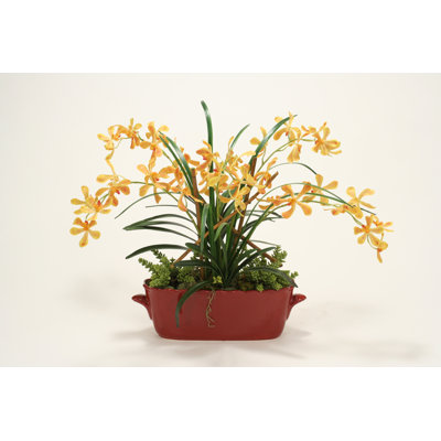 Orchid Arrangement in Planter