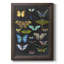 «Graphic Butterfly Taxonomie I», reproduction sur toile encadrée-73982759