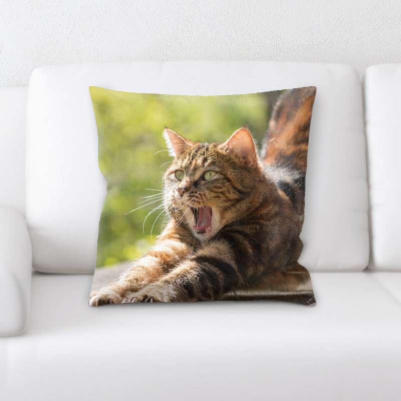 Coussin pour chat