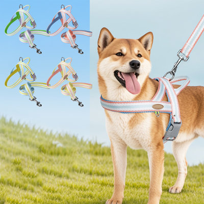 Cute Shaped Feeder Interactive And Educational Pet Toy Suitable For Feeding Cats And Dogs And Can Be Played With By Pet Of All Sizes