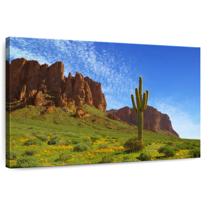 Alvord Cactus In Prospector's View, 8" H x 12" W