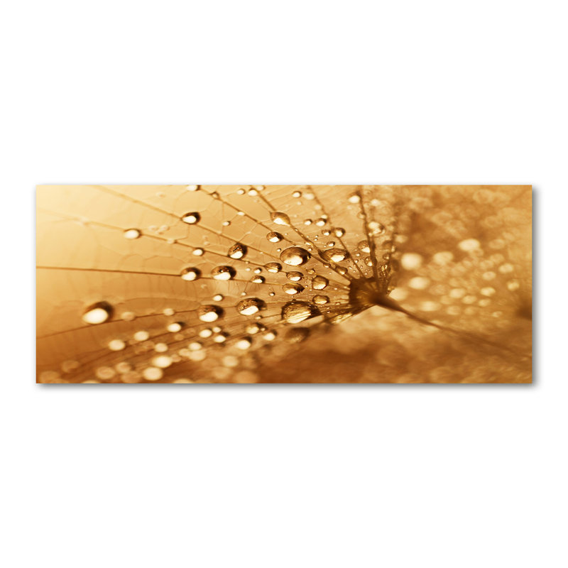 Dandelion - Wrapped Canvas Print