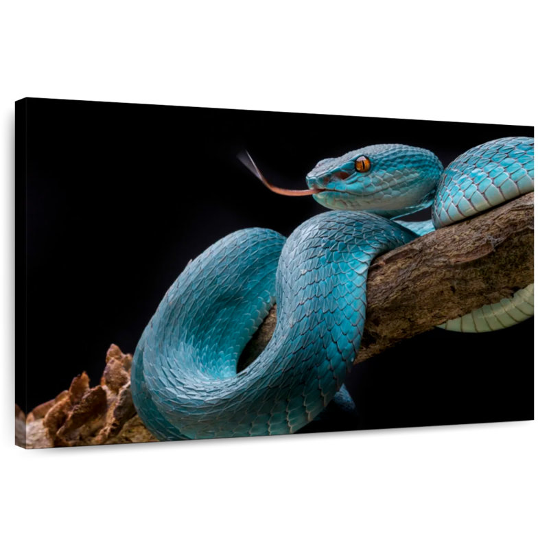 Brampt Slithering Blue Viper, 26" H x 39" W