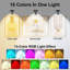 Battery Powered LED Wall Mount Picture Light-1577378052