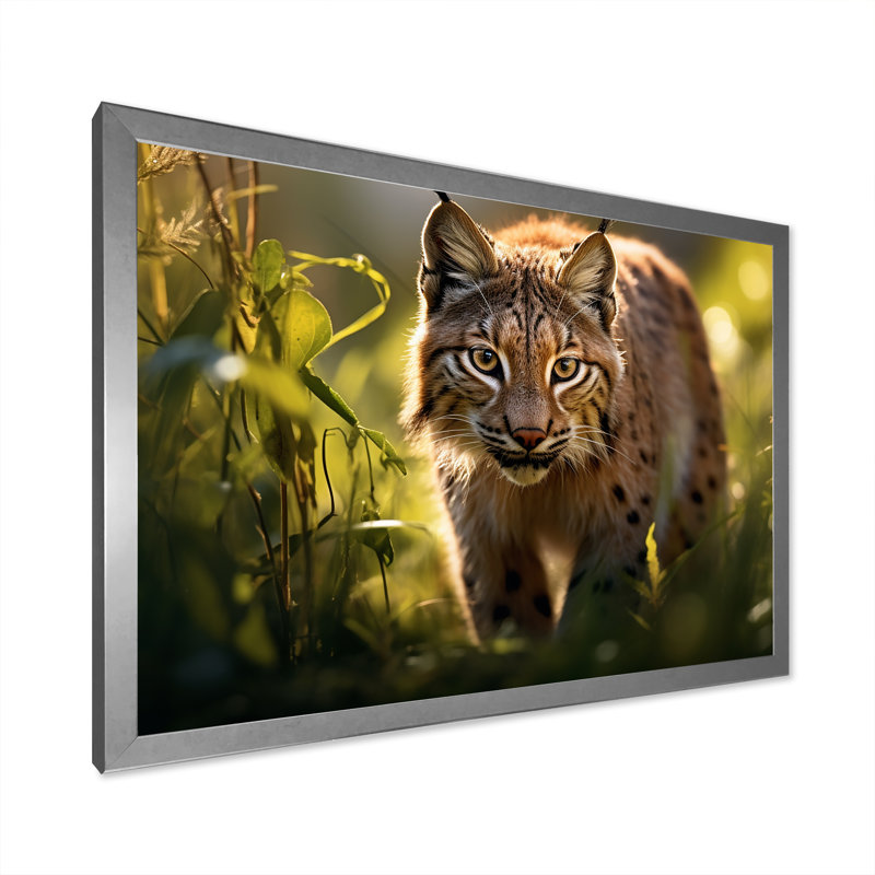 Portrait de lynx brun dans la nature, Cadre photo argenté, H 30 po x l 40 po x P 1,5 po