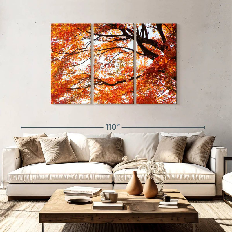 Alvord acer Palmatum en automne, H 48 po x l 74 po