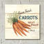Art mural en verre acrylique August Farm® «Farm Fresh Carrots» par David Carter Brown-2059241468