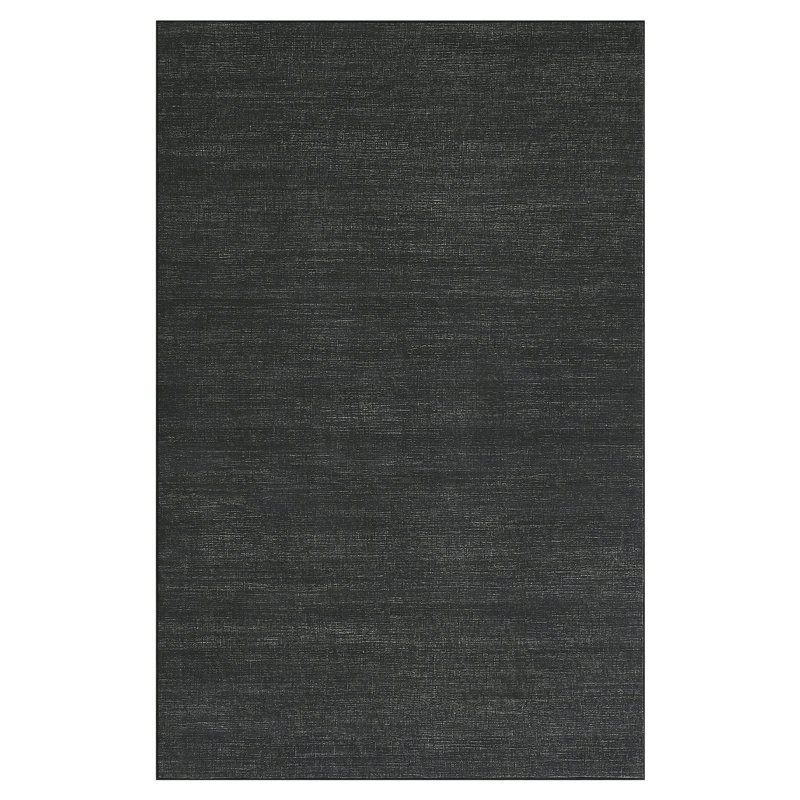 Machine Washable Area Rug for Living Room Modern Solid Color Throw Carpet for Bedroom Dining Room, Rectangle 4' x 6', Black