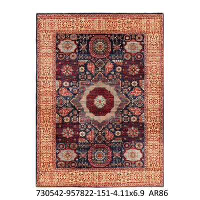 Wool Oriental Area Rug