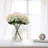 Cream Hydrangea Stems - Large 7" Blooms