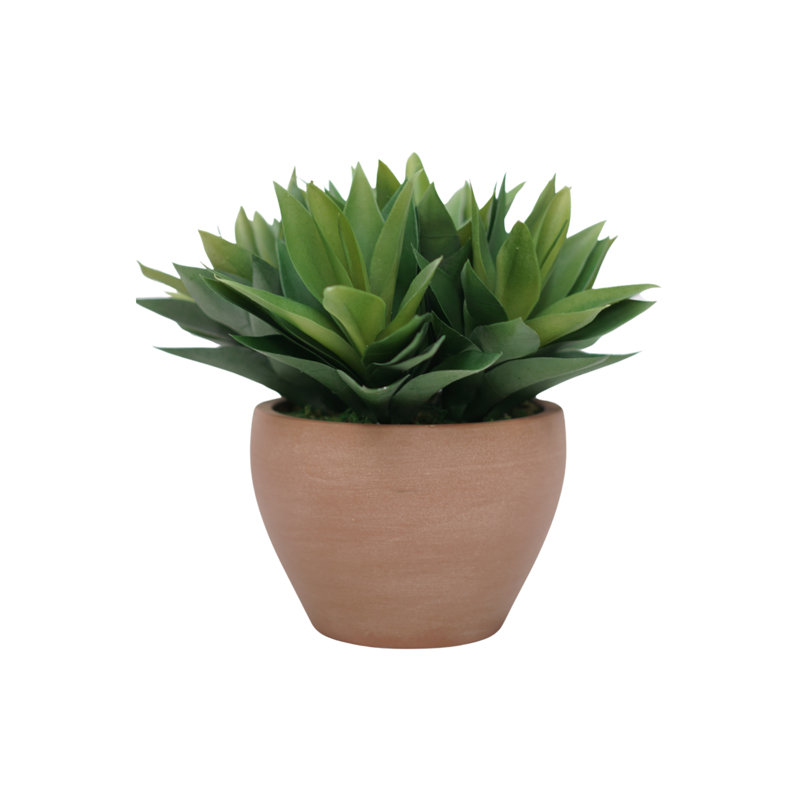 Agave 14 po en céramique blanc brillant, Terracotta