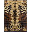 7 pi 10 po X 10 pi 3 po Tapis Southwest