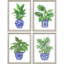 Botanical Blues S/4