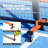 VEVOR Pickleball with Carrying Case