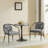 Jaquayla Gold-Tipped Modern Dining Chairs-1796146593