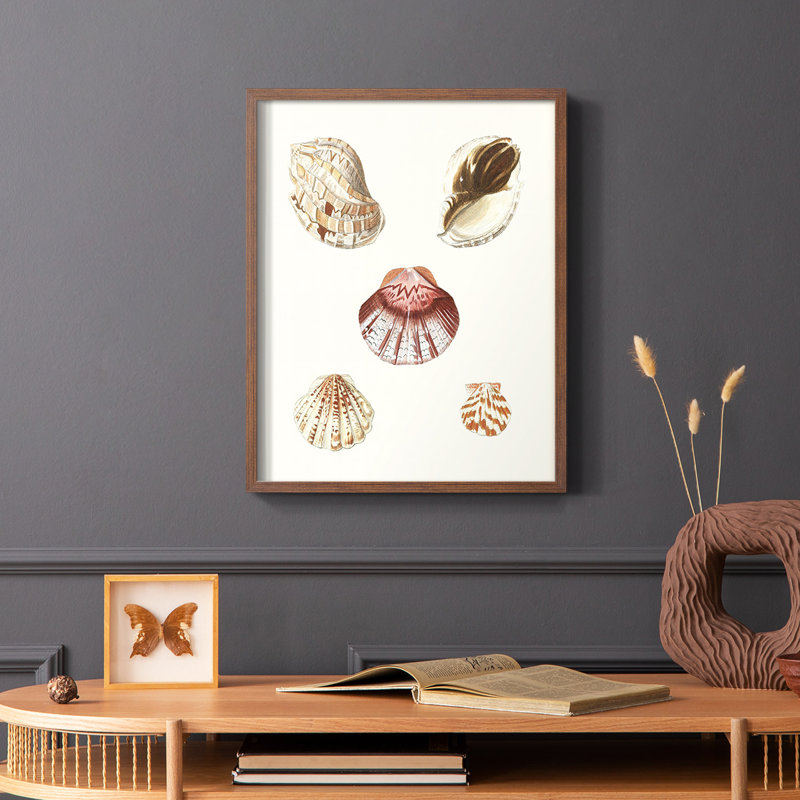 «Pastel Knorr Shells», reproduction encadrée en bois massif, Brun, H 10 po x l 8 po