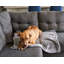 Couverture pour animaux de compagnie Pet Parents®-87817385-87817392