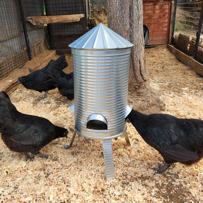 Silo Chicken Feeder
