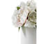 Camilla Rose Arrangement in Pot