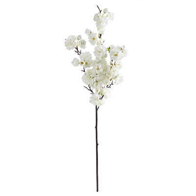Tige de cerisier en fleurs