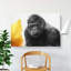 Silverback Gorilla With Golden Flash - Wrapped Canvas-55318350