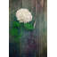 Love 1 Piece Wrapped Canvas Wall Art-1265429600