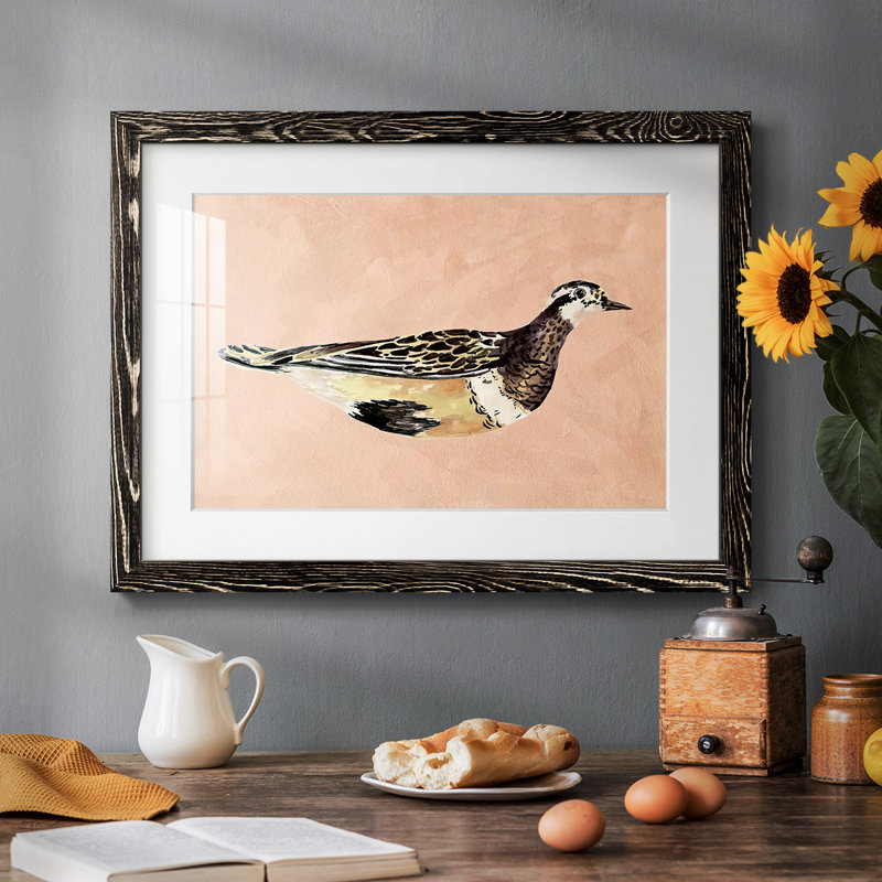 Feathered Friend IV, reproduction d'art encadrée, Noir, H 22 po x l 32 po